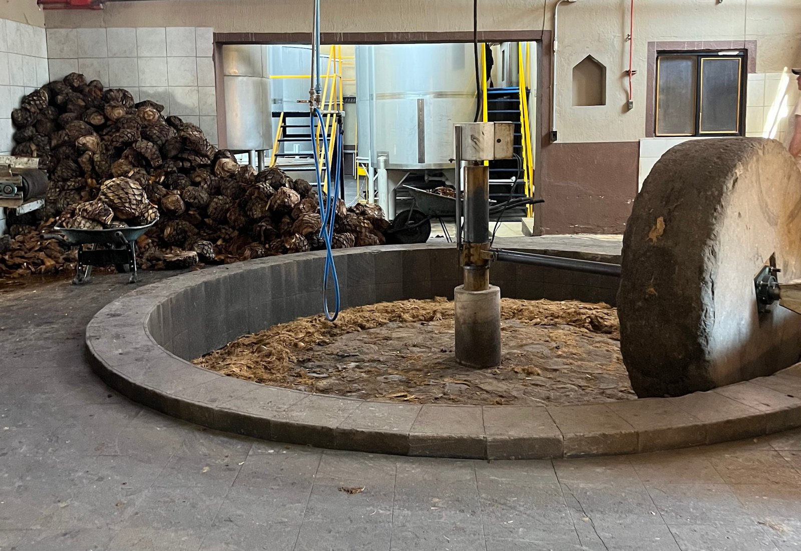 Cascahuin Tequila Distillery Tour