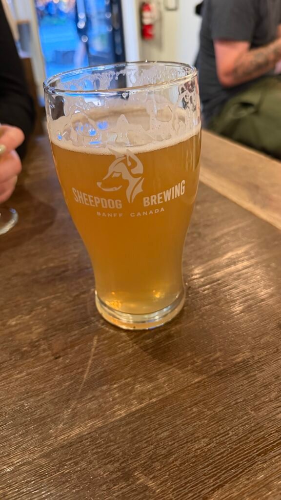 Beer from Sheepdog brewing in Banff
