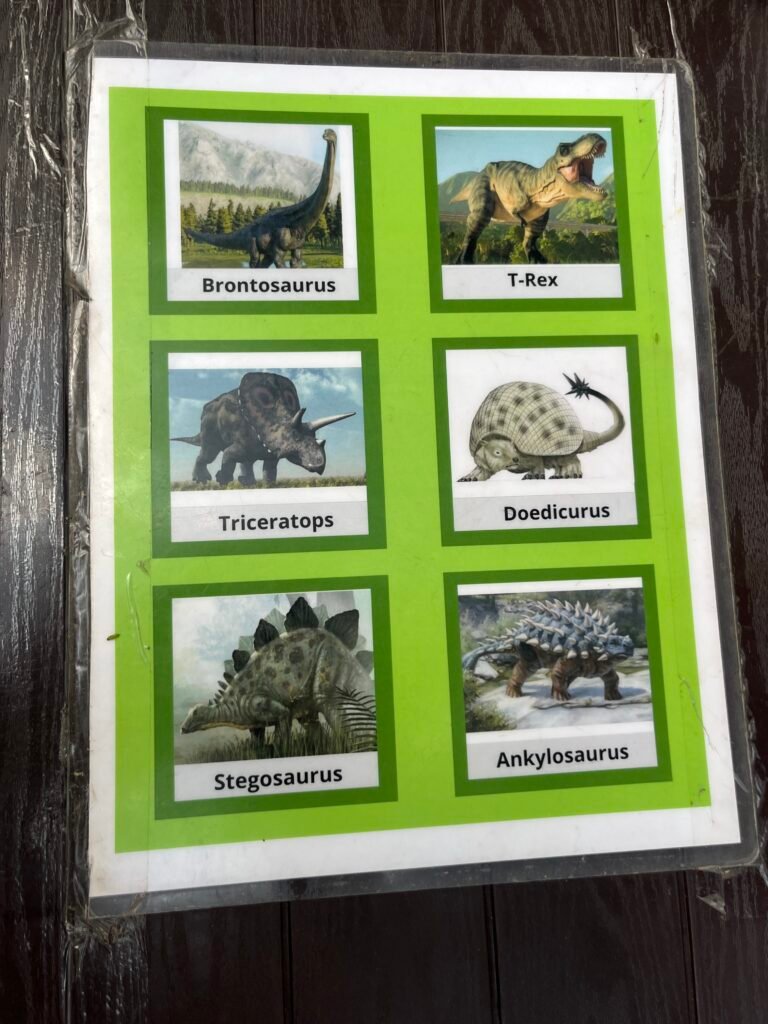 Dino Quesadillas in Mexico City menu